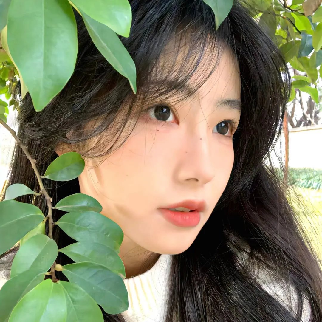 裸露之吻 在线观看封面